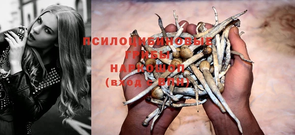 герыч Магас