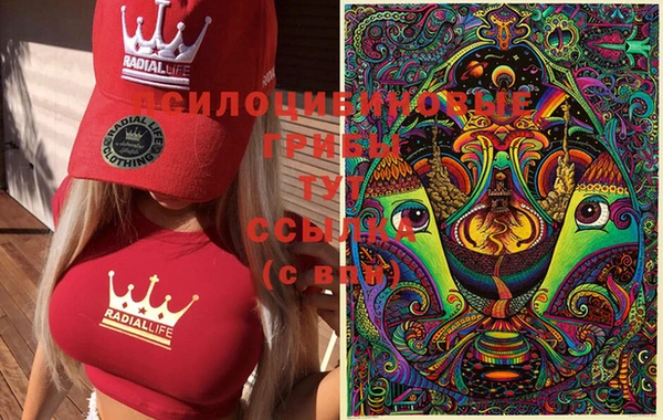 герыч Магас